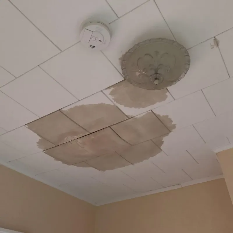 Ceiling Water Damage Repair in Copiague, NY